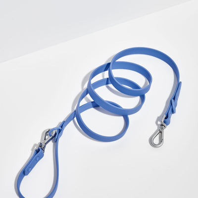 Leash from Wild One - Moonstone