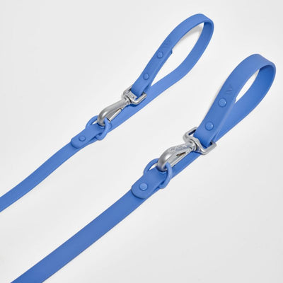 Leash from Wild One - Moonstone