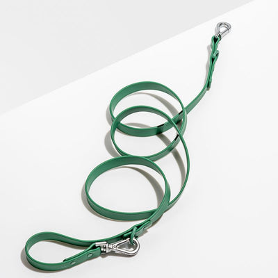 Leash from Wild One - Spurce