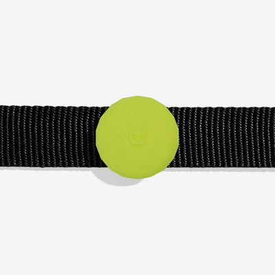 Airtag Holder Zee.Dog - Lime