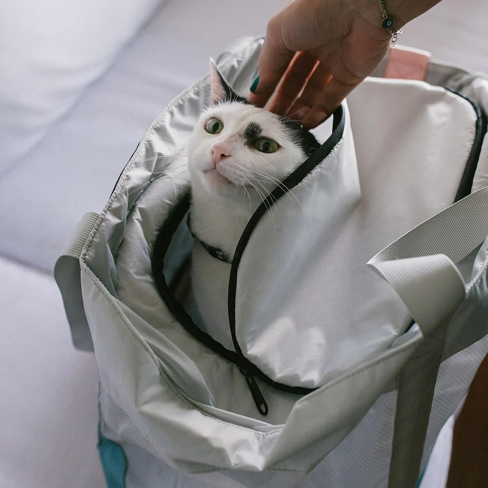 Cat Carrier Bag Kombucha from Zee.Cat