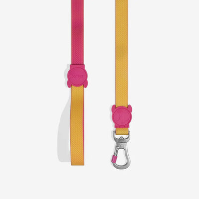 Neopro Lyra Leash from Zee.Dog