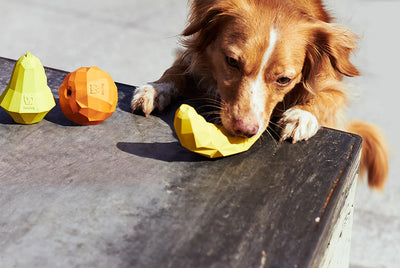 Super Fruitz Treat Dispensers