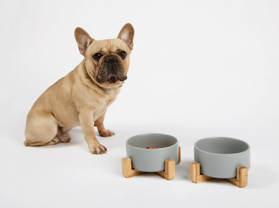 Dog Bowl with Wooden Stand