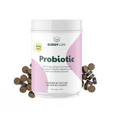 Probiotic Bites
